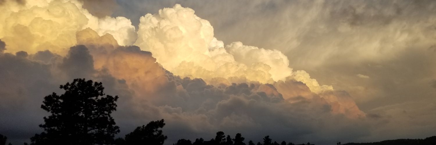 zbvc_'s profile banner image