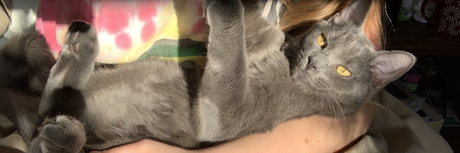 haley_shepherd_'s profile banner image