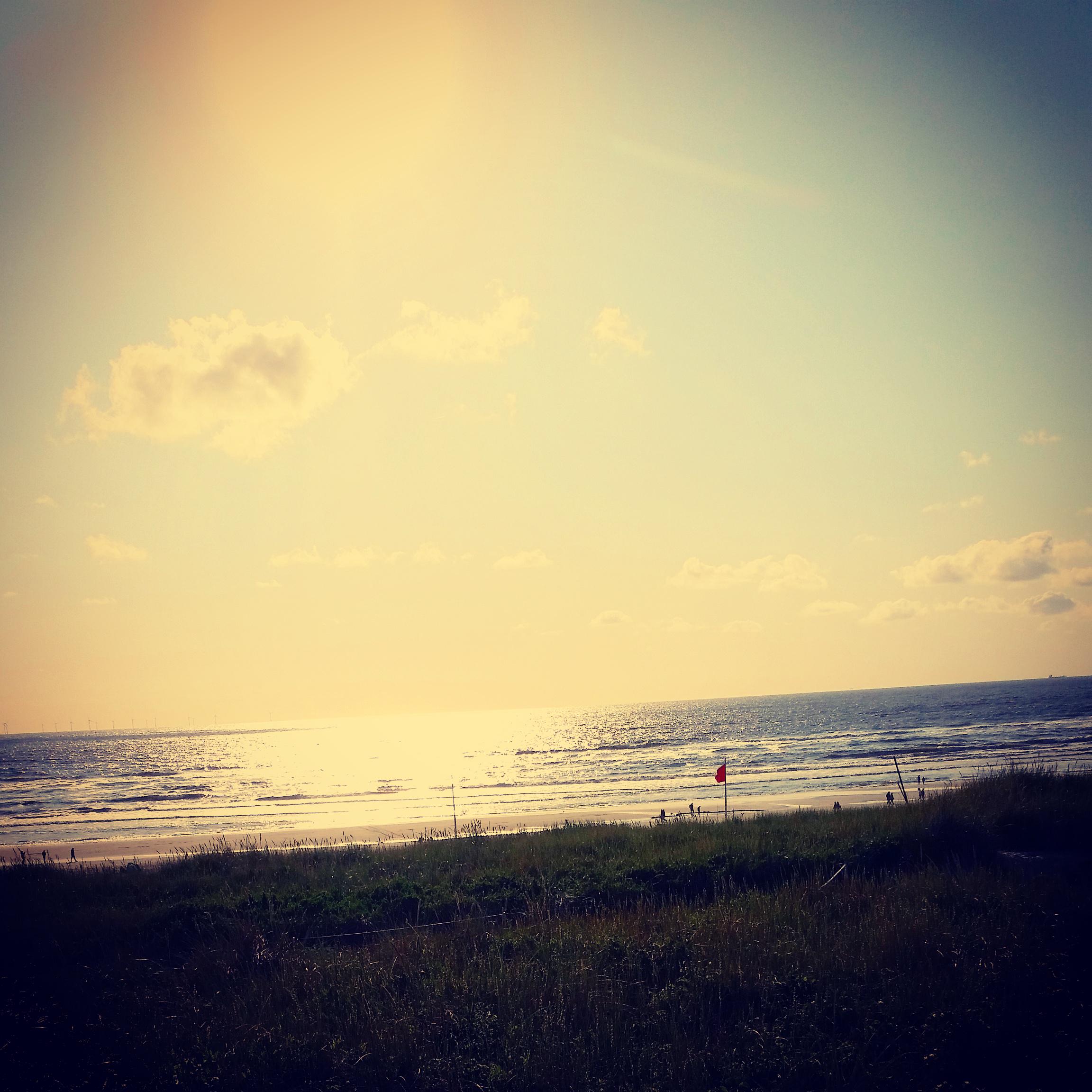 Maikel_Ehv's profile banner image