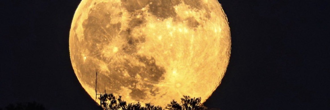 Rich_MEstrada's profile banner image