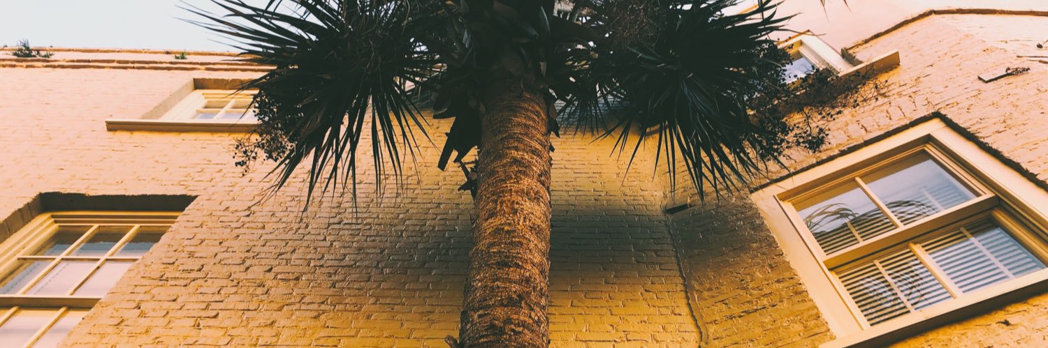 milaa_16's profile banner image
