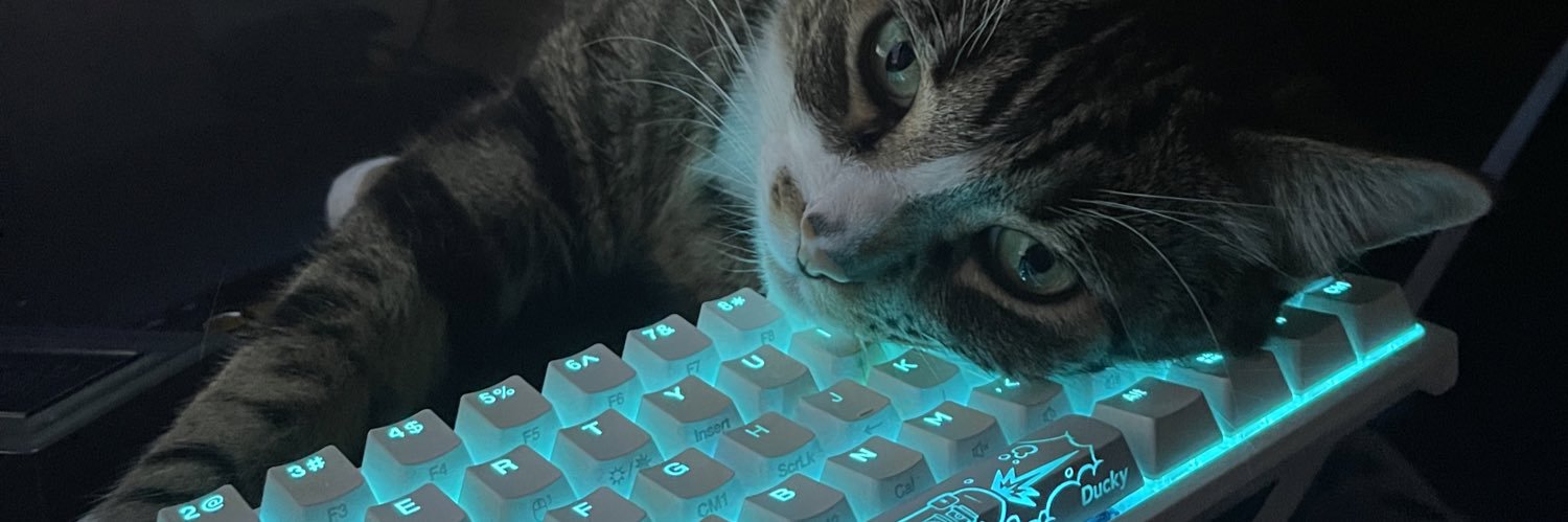 baela01's profile banner image