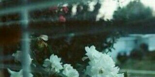 TheFlower2600's profile banner image