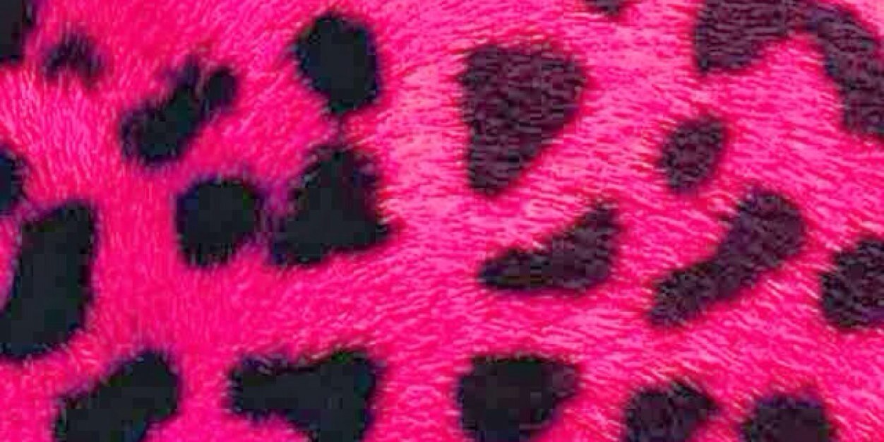 Danielle_Ruckel's profile banner image