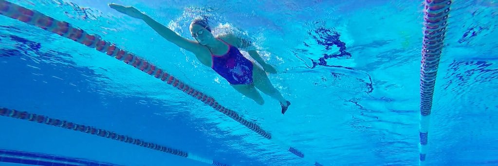 Monique Murphy banner