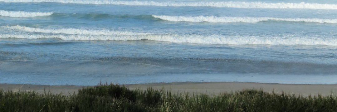 fernandaawilson's profile banner image