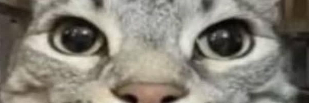 jopabel's profile banner image
