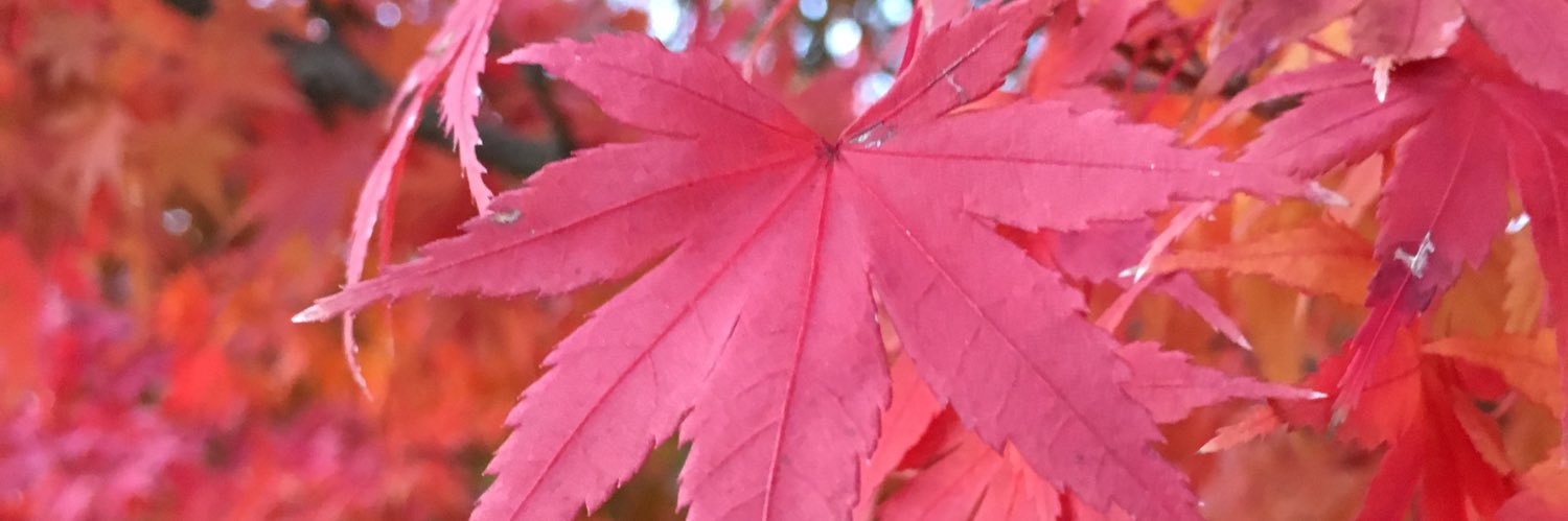 masa78281656's profile banner image