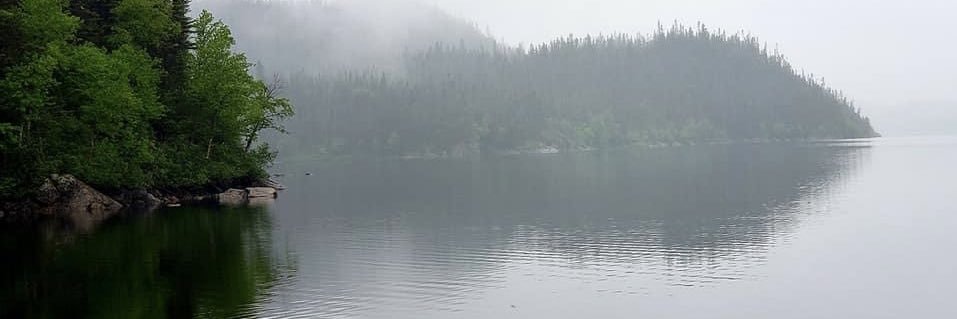 Lauren 🌺 banner