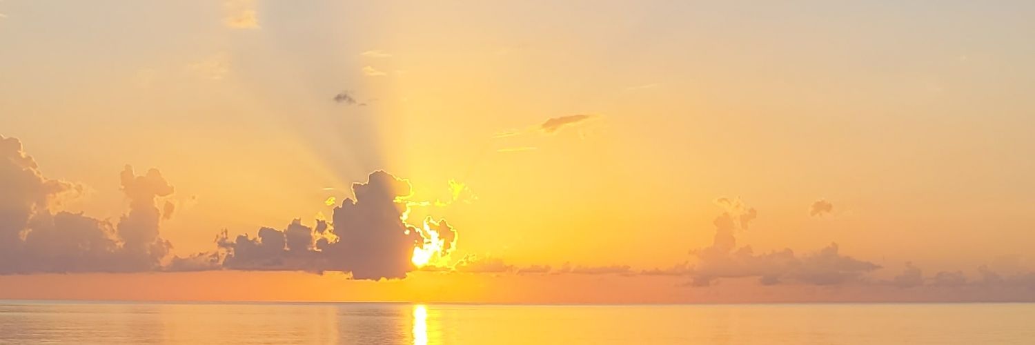 meroggow's profile banner image