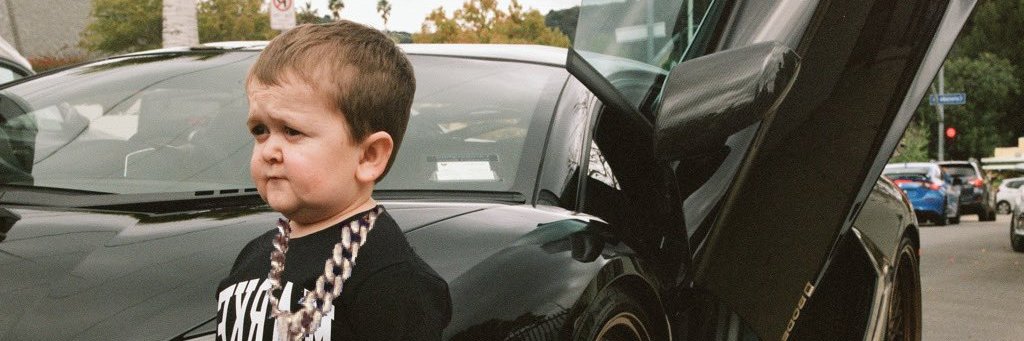 FricoVGC's profile banner image