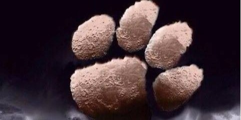 cathystep's profile banner image