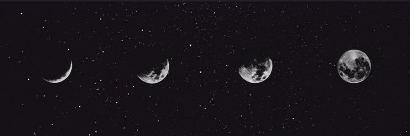 catieberniger's profile banner image