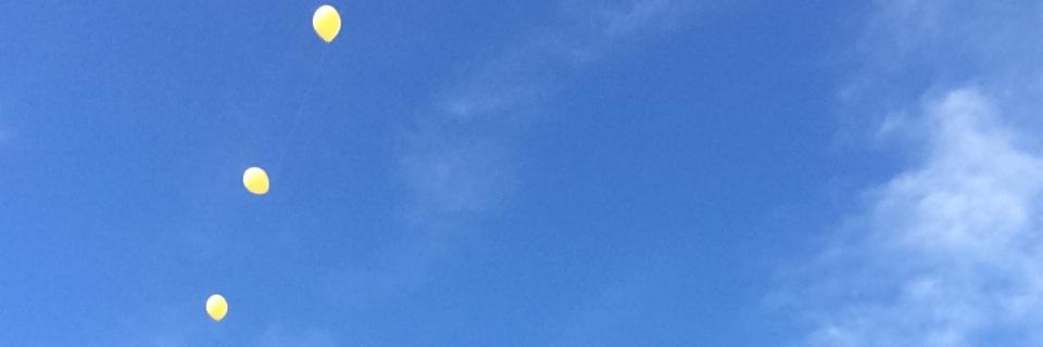 barownsuga's profile banner image