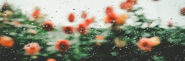 มีมี~ banner