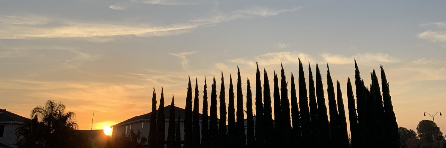saugacitychic's profile banner image