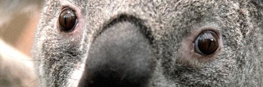connor_cunning's profile banner image