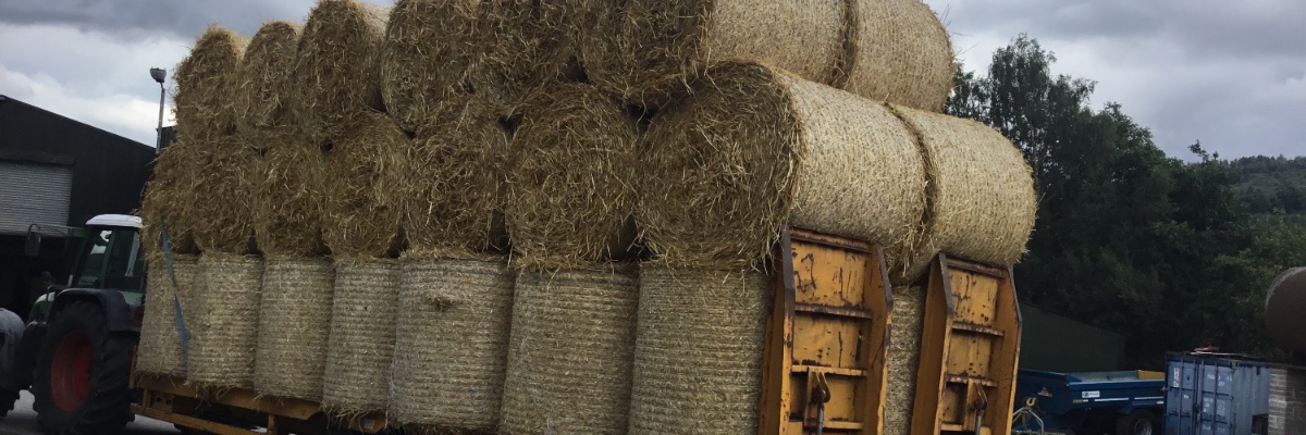 Somewhere in UK Relaxing Good Day / Bad Day banner