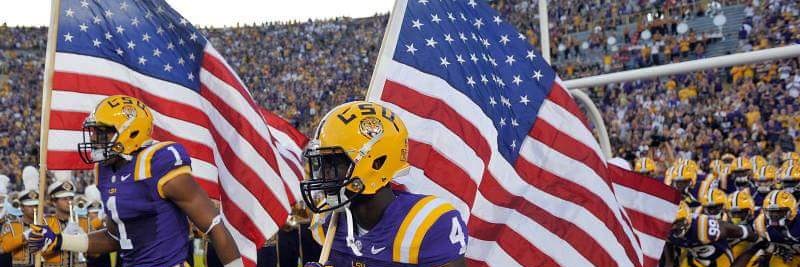 💜💛LuvMyTigers💛💜 banner