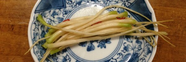 geckour Profile Banner