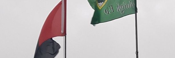 . banner