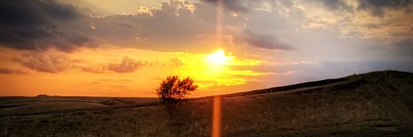 PegBelt Profile Banner