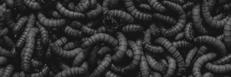 this_isall's profile banner image