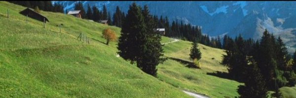 angelseti Profile Banner