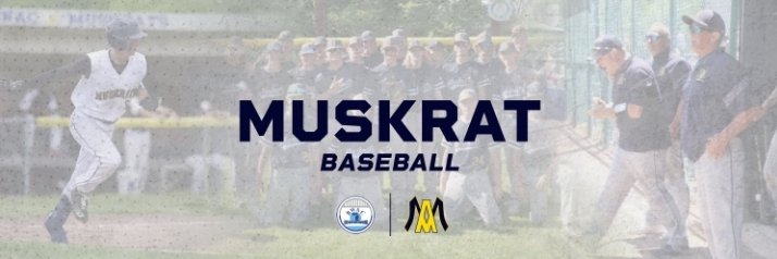 Algonac Baseball banner