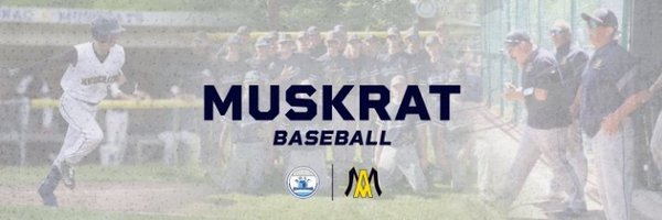 AlgonacBaseball Profile Banner