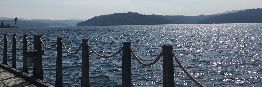 alimac_13's profile banner image