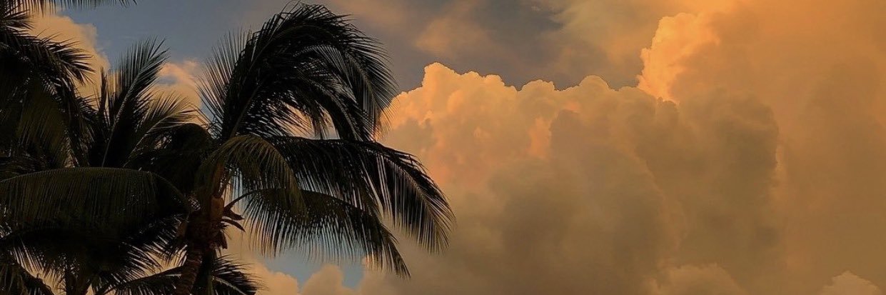 Mia banner