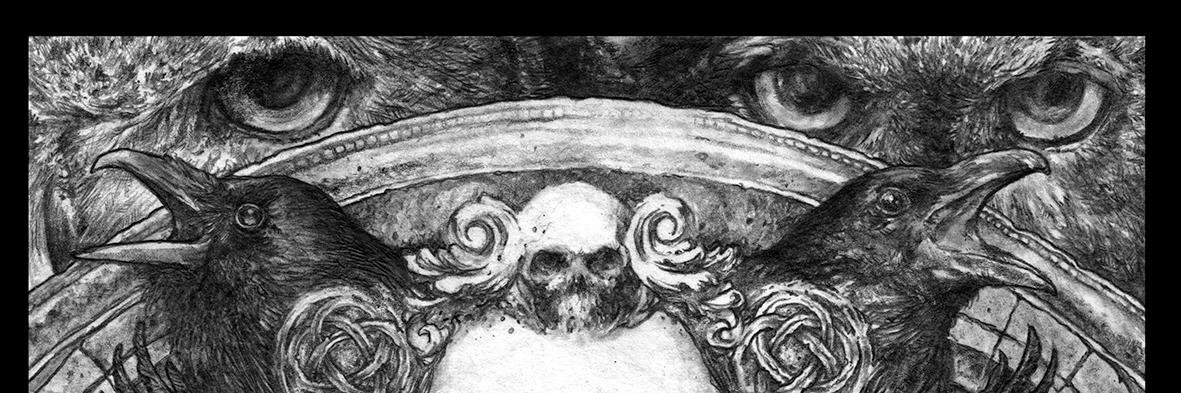 DThierree's profile banner image