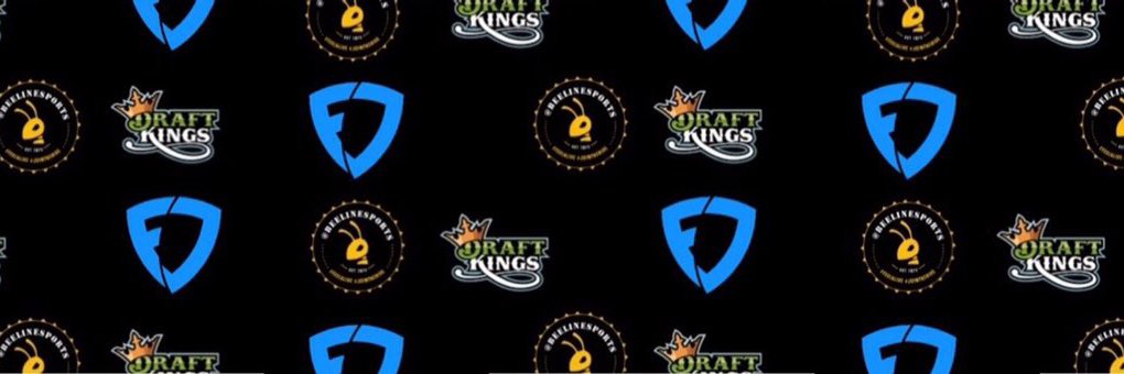 Holden@beelinesports banner