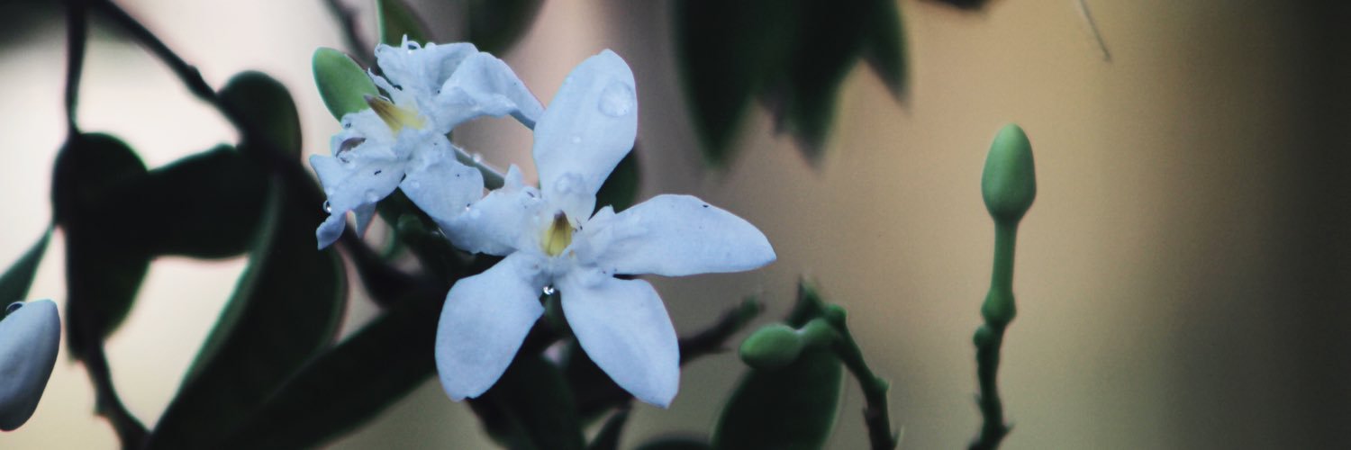 luqalhakim's profile banner image