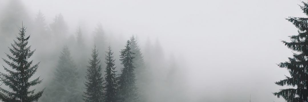 NOUFAALSAEDI's profile banner image