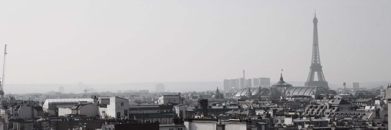 LinguaphileLife's profile banner image