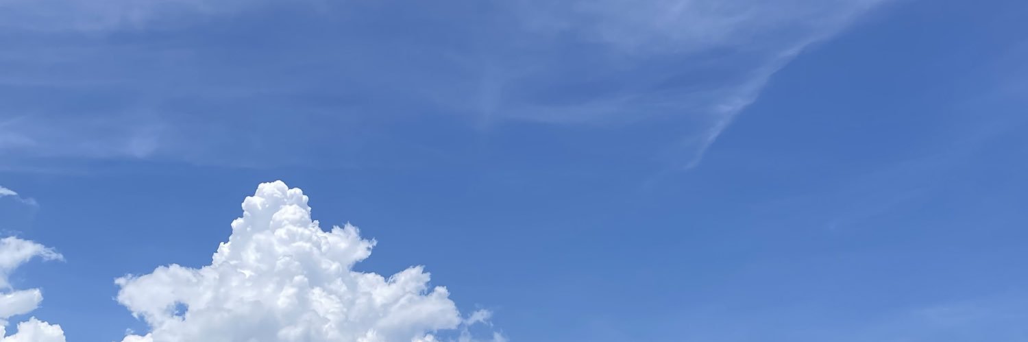 Praline is Praline banner