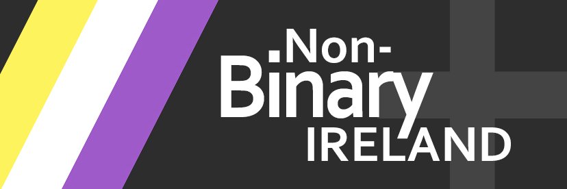 NonBinaryIrl's profile banner image