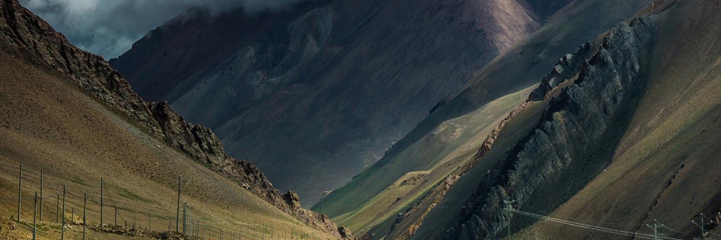 Sterndrome Farm banner