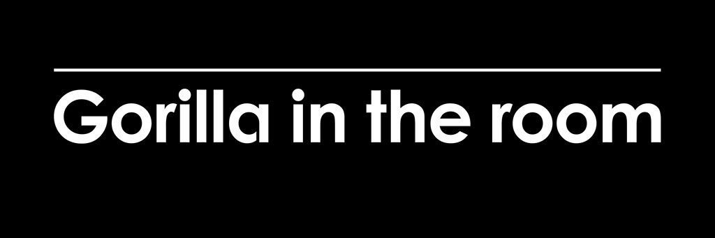 Gorilla in the room banner