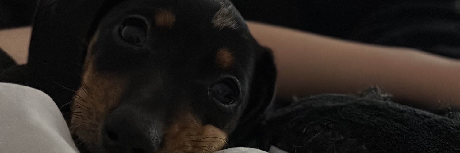 delfina banner