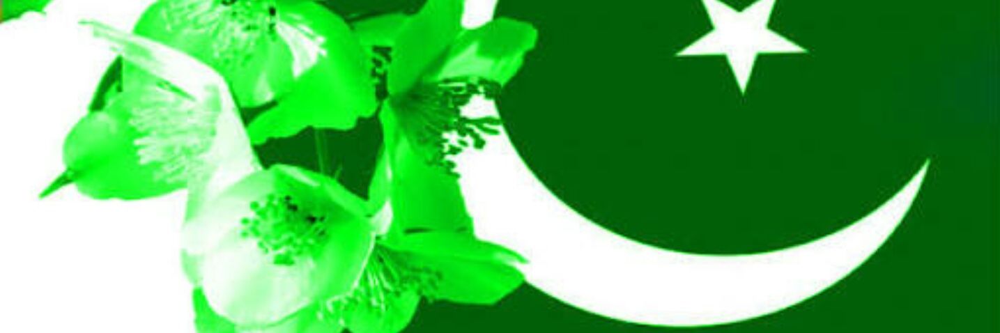 pmlner's profile banner image