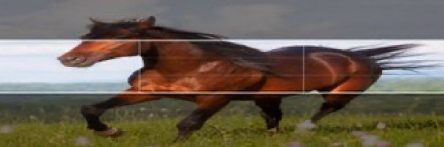 _whereisak's profile banner image