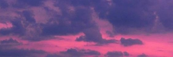 la moo banner