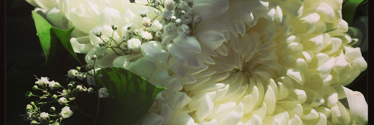 deedzv's profile banner image