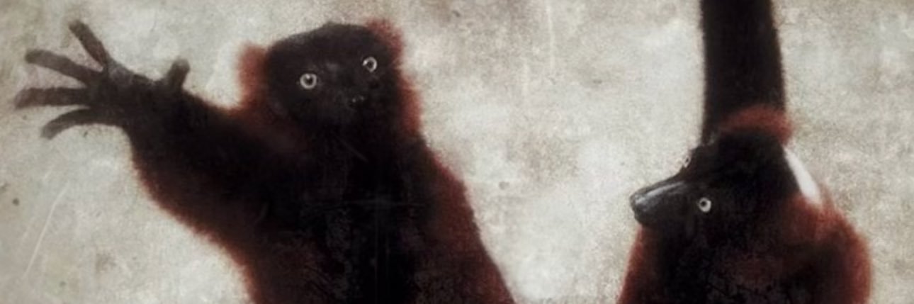 FoundStrangers's profile banner image