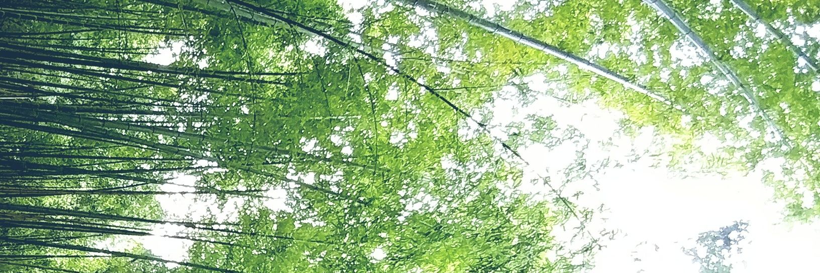 MLDream's profile banner image