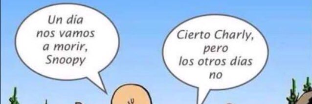 senecabreado's profile banner image