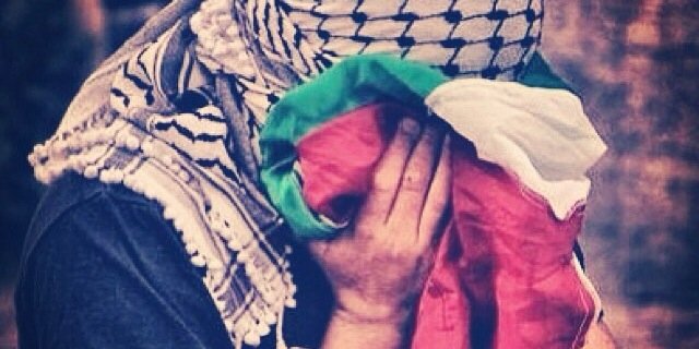 NabilSeguer's profile banner image
